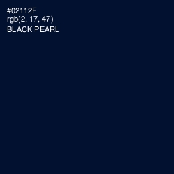 #02112F - Black Pearl Color Image